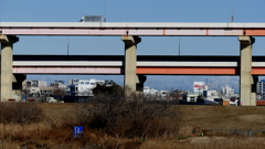 荒川土手から高速の下にクリアーに見えた左日光錫ヶ岳~右雪被日光白根山