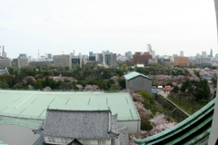 名古屋城の天主からの眺め８