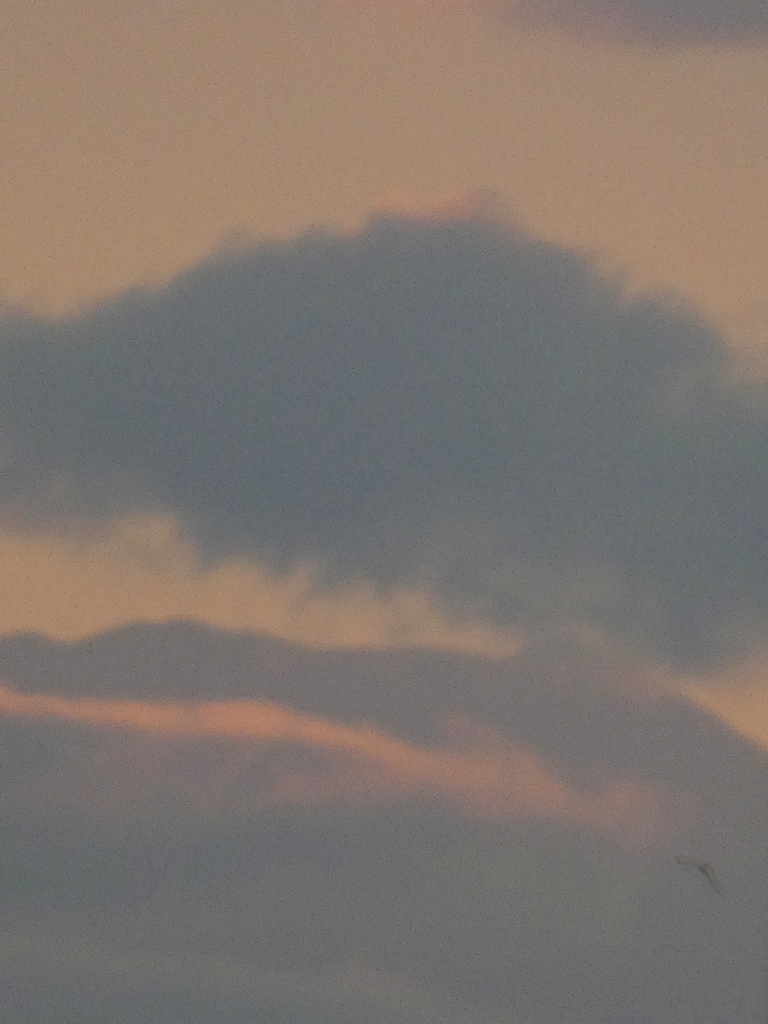 都内からとった富士山の雲海??