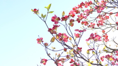 神社前の陽当たりにて