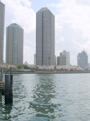 隅田川鉄砲洲から佃煮の佃島方面の当時のタワーマンション群