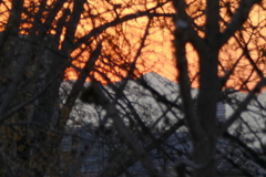 森の奥の蛭ヶ岳のシルエット