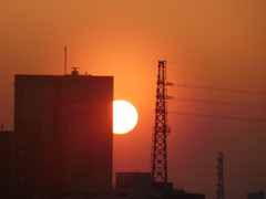 オレンジ色のホヤを纏いながらマンションから夕日