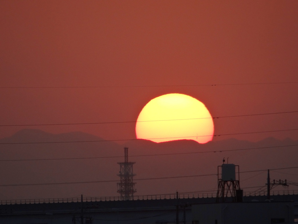 ウトウの頭上の夕日
