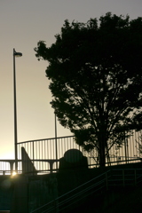 隅田川土手上テラスの夕日