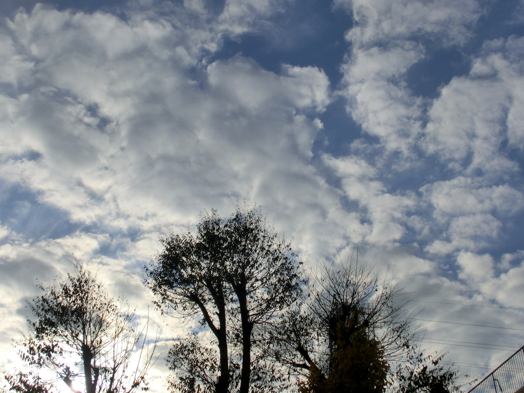 千住墨堤通上空の沢山の雲