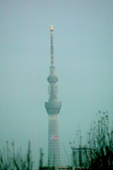 隅田川の土手上の東京スカイツリー