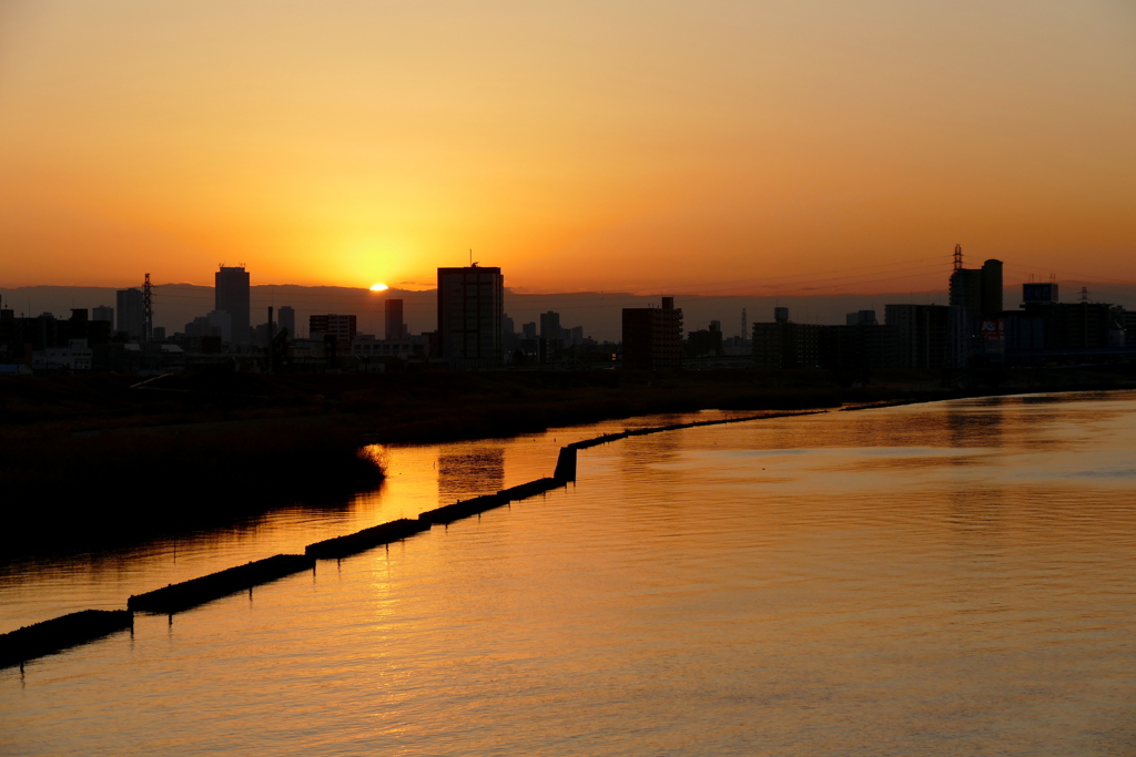 ワンドの奥に沈む