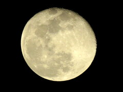 今日も月面の婦人がよく見えます月齢16.2