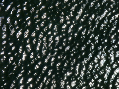 橋の下の水面て、きれいですよ