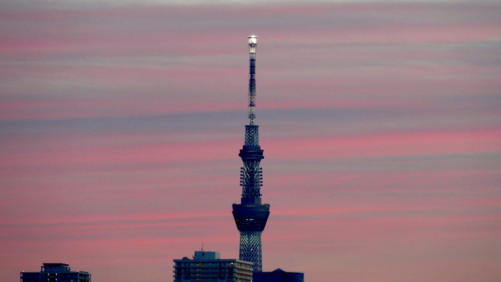 黄昏のスカイツリー