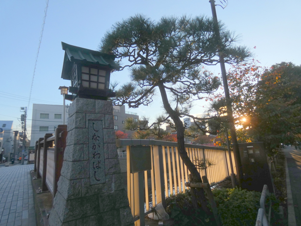 品川橋名の入った石垣灯籠と黒松に夕日が