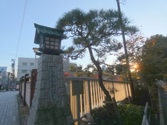 品川橋名の入った石垣灯籠と黒松に夕日が