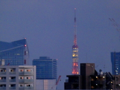 荒川土手から港区芝の東京タワー