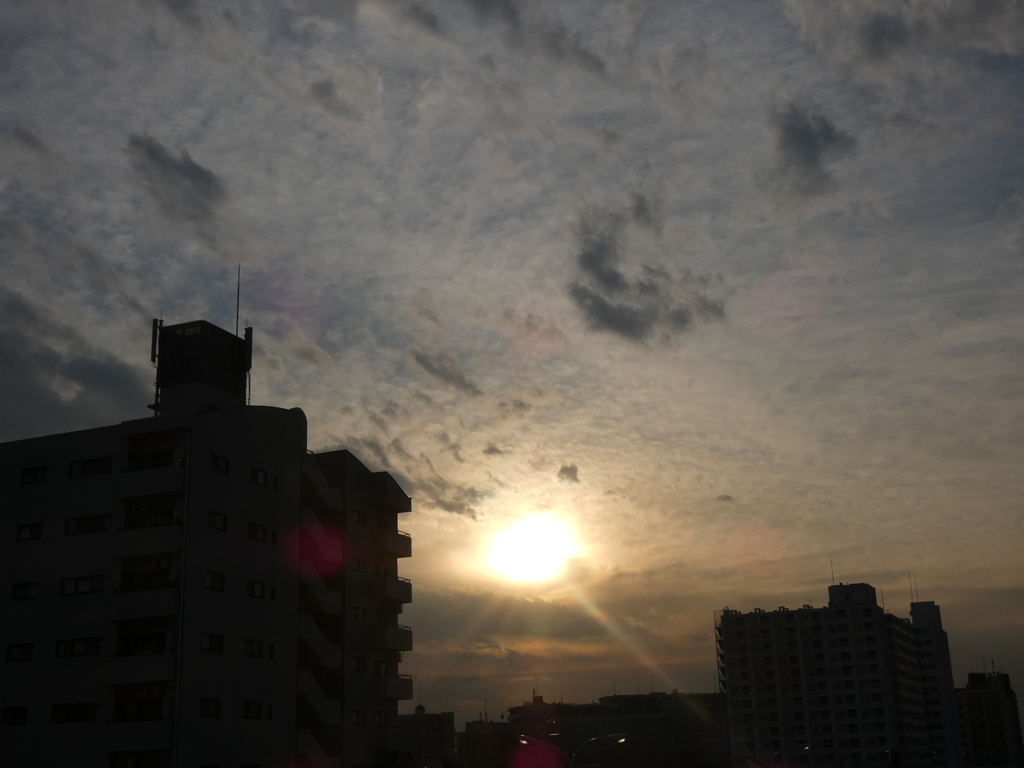 荒川土手のマンションと南西の夕日