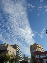 高積雲