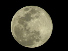 満月ウルフムーン