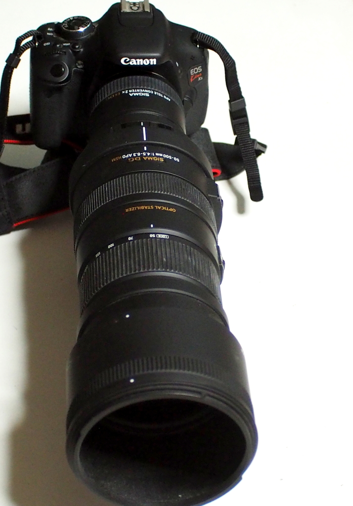EOSデジタルX5とSIGMADG２X50-500ｍｍAPOセット