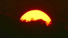 電線の後ろの雲間に消える
