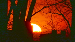 隅田川沿い尾竹橋公園から右雁が腹摺山左の大蔵高丸右端の夕日