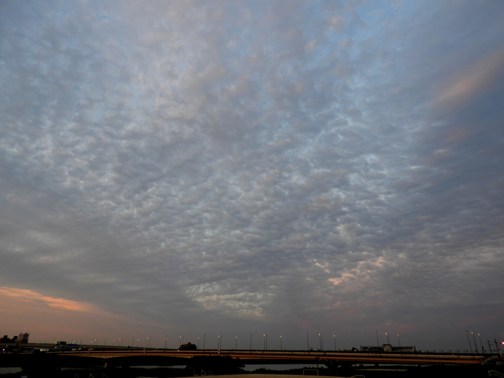 東の千住新橋上空の夕暮れの雲
