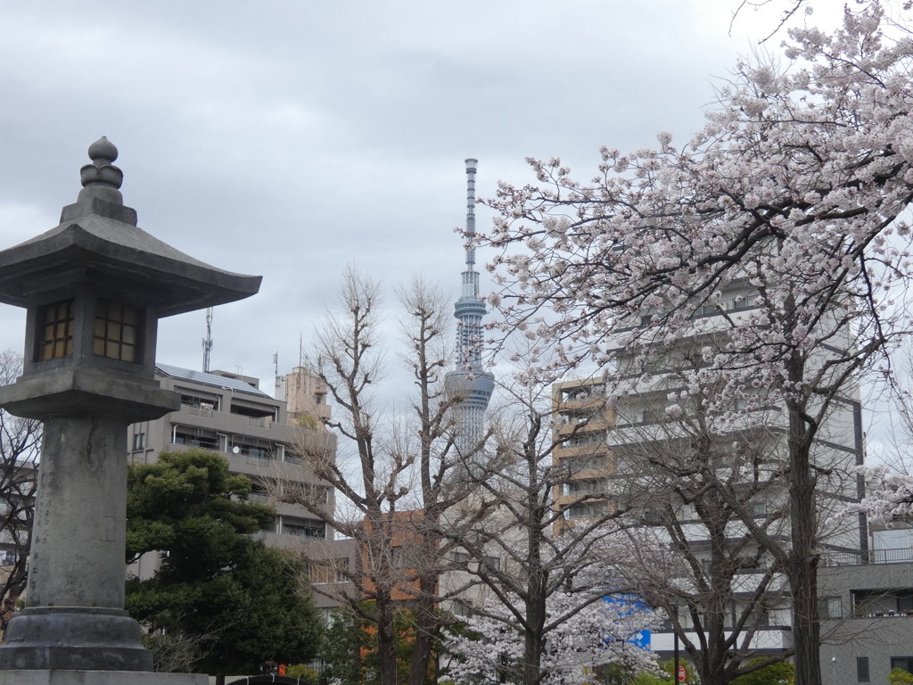 慰霊堂から東京スカイツリー