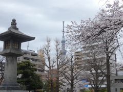 慰霊堂から東京スカイツリー