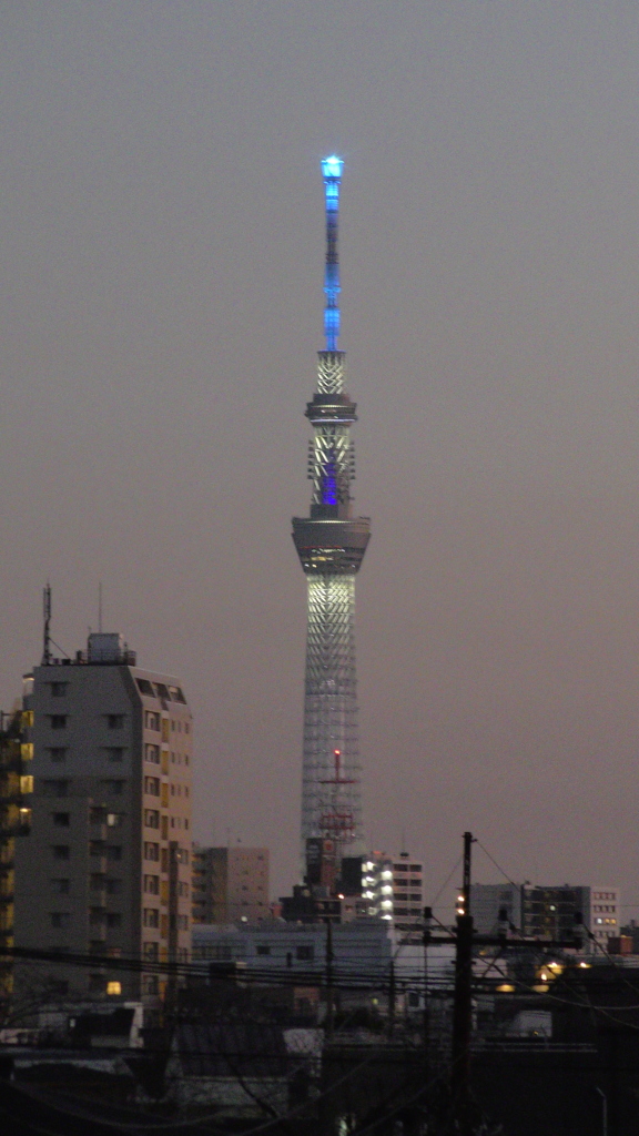 ’２３新春の荒川土手からの夜景８