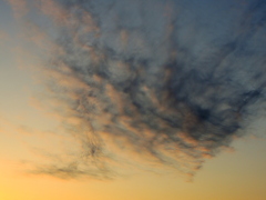 芸術的な夕雲