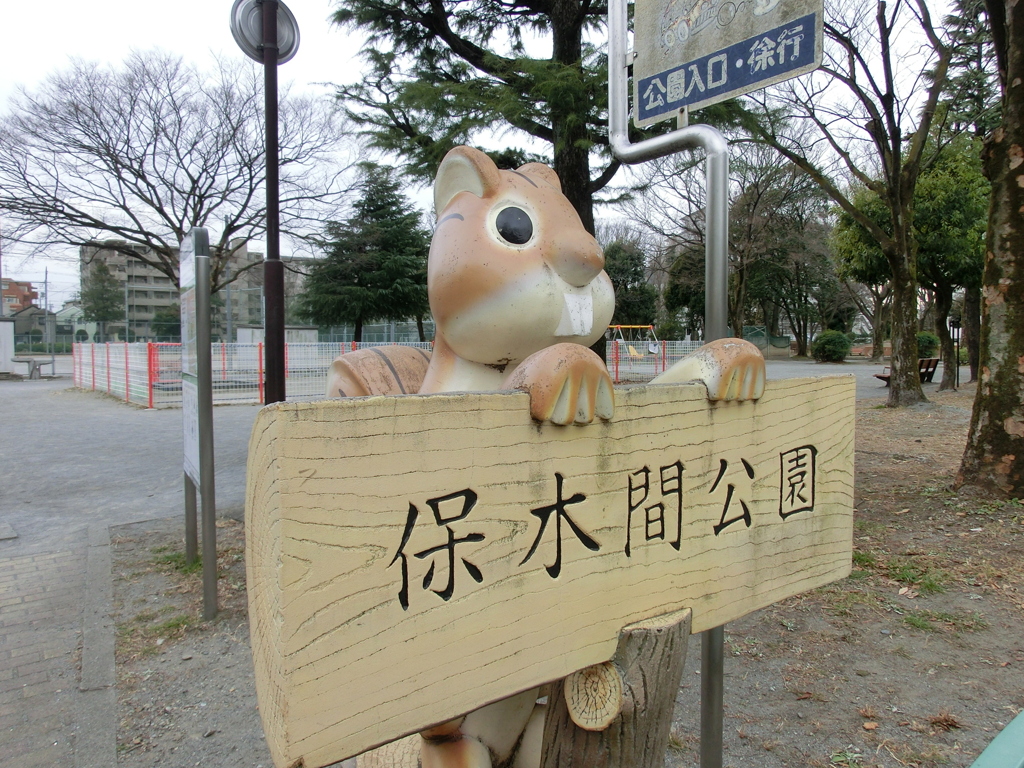 リスの保木間公園