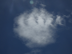 これもまた、K/H波、熊の手