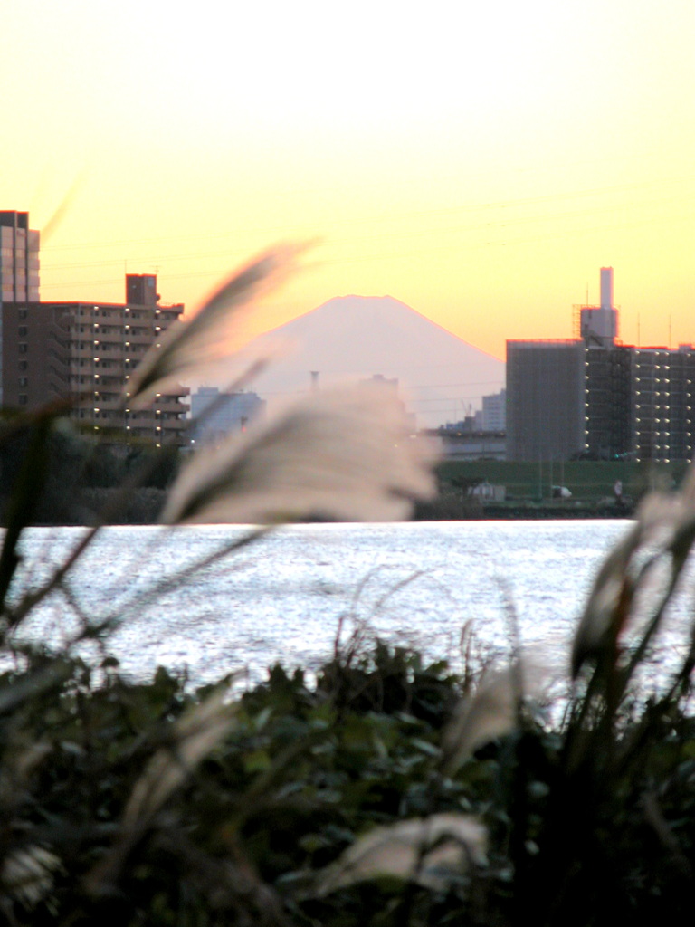 川向うのビルの隙間の夕焼けの富士山