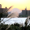 川向うのビルの隙間の夕焼けの富士山