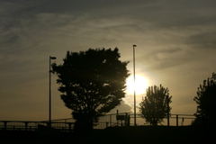 隅田川ワンド下からの夕日