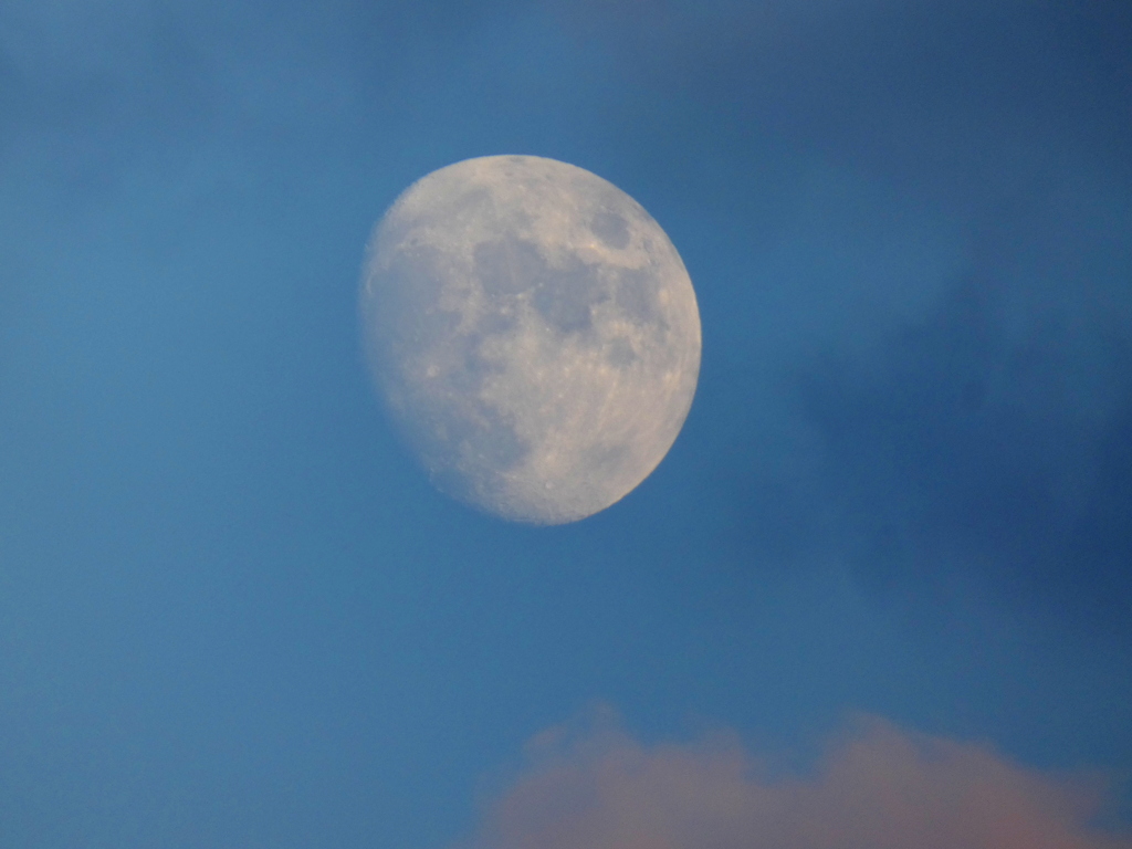 '22.11/5雲間の月齢10.7
