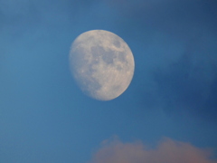 '22.11/5雲間の月齢10.7