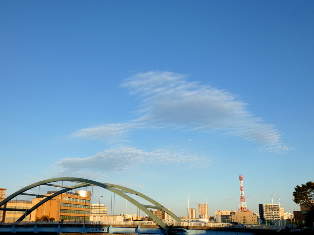 隅田川尾竹橋上のドルフィン雲