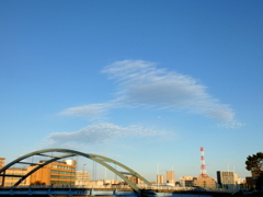 隅田川尾竹橋上のドルフィン雲