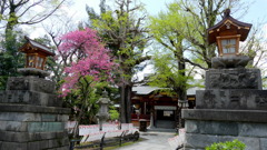 南千住素戔嗚神社