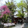 南千住素戔嗚神社