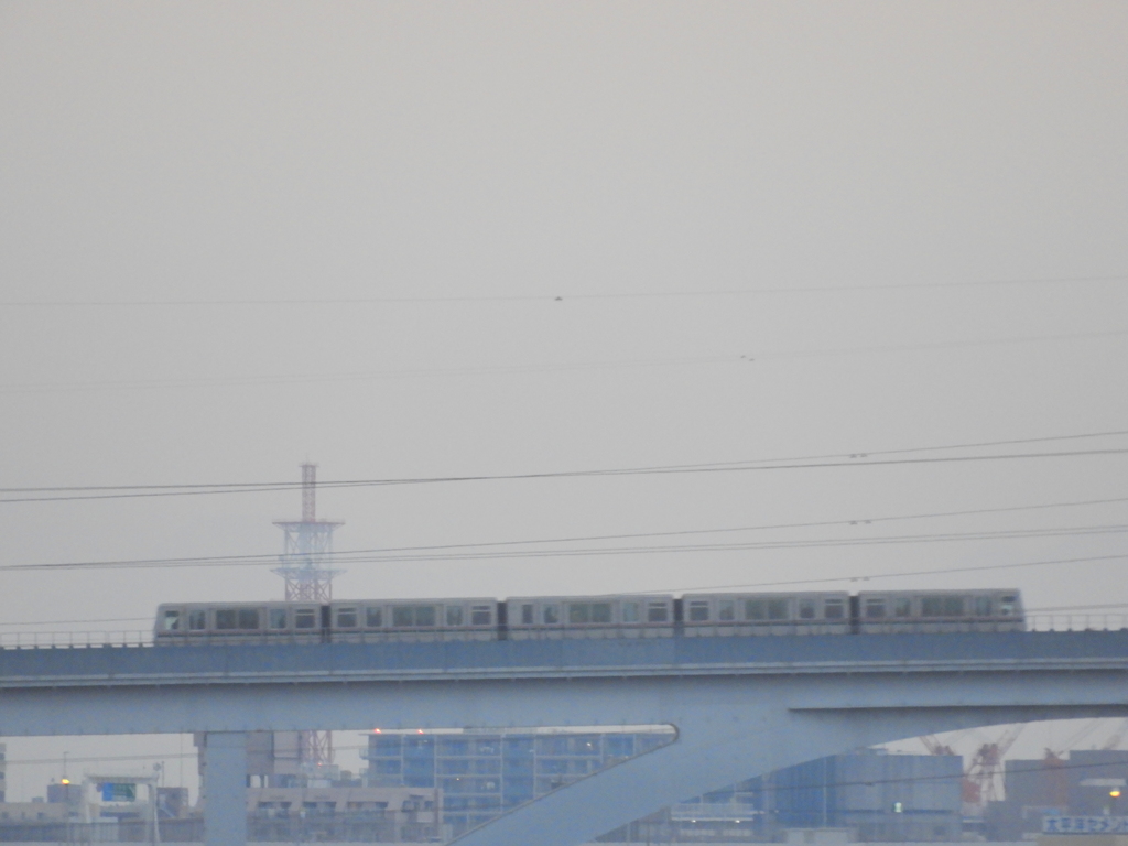 西新井橋からグレーの空の舎人ライナー