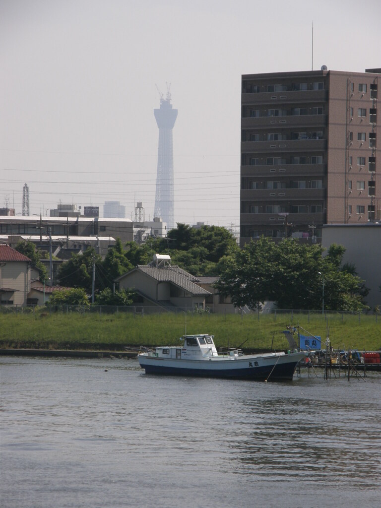 葛飾区歴史の中で亀有駅の所を流れる中川旧水戸街道の橋の上からの風景