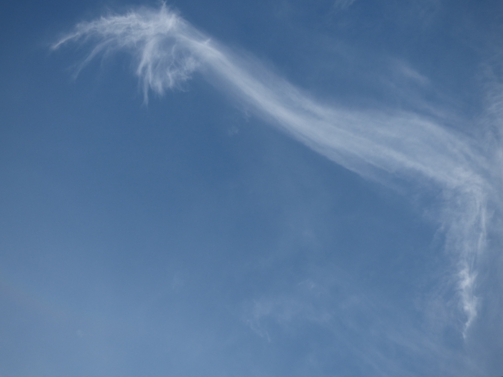 ヒドラ状巻雲