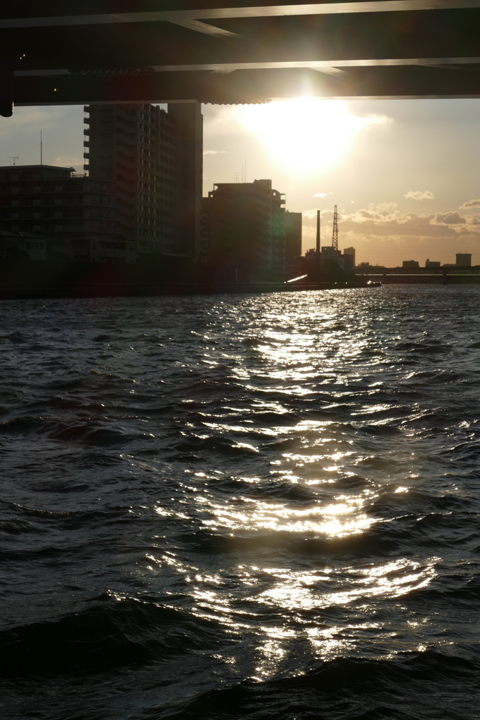 隅田川尾竹橋下テラスから