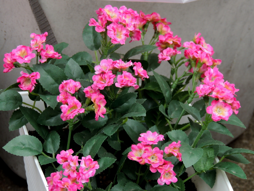 造花と分かりにくい綺麗な造花