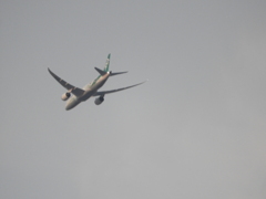 荒川土手からの航空機