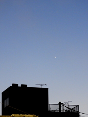 尾竹橋通りの民家のビルの上の宵の西の木星