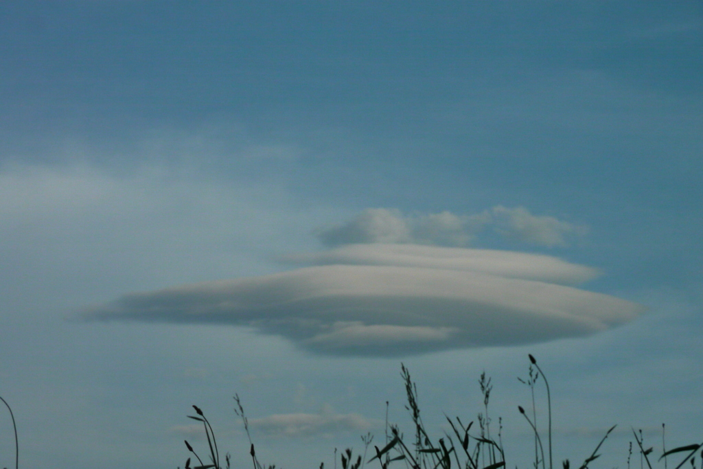 隅田川ワンド草むらの上のUFO雲