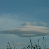 隅田川ワンド草むらの上のUFO雲