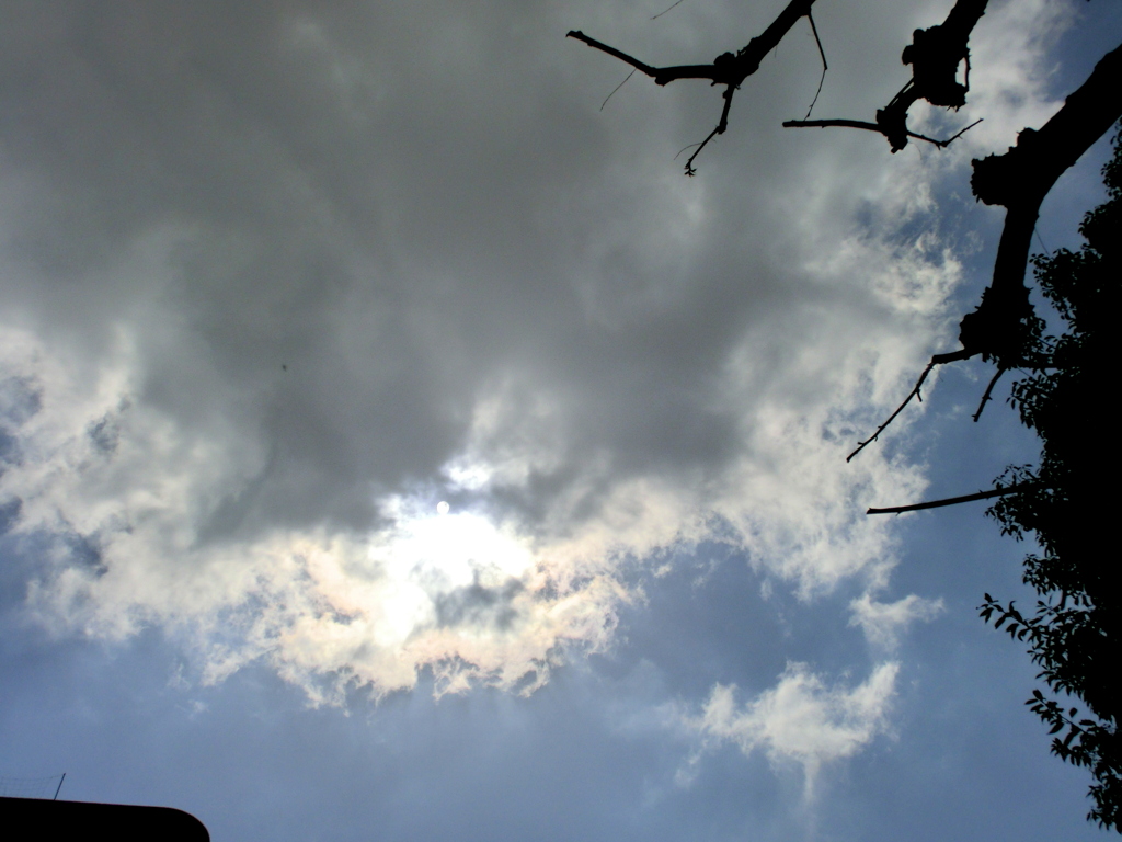 尾久の原公園の土手下から上空雲から漏れる陽光の彩雲